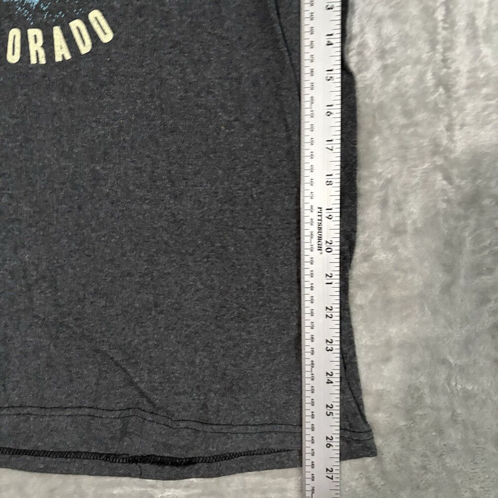 Rocky Mountains Colorado Graphic Tee Charcoal Gray Mens Large L Gorpcore Retro - Picture 4 of 6